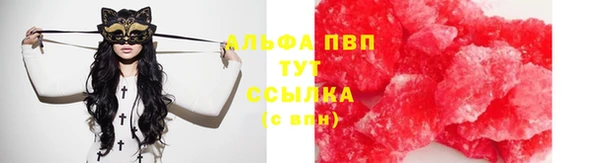 2c-b Надым