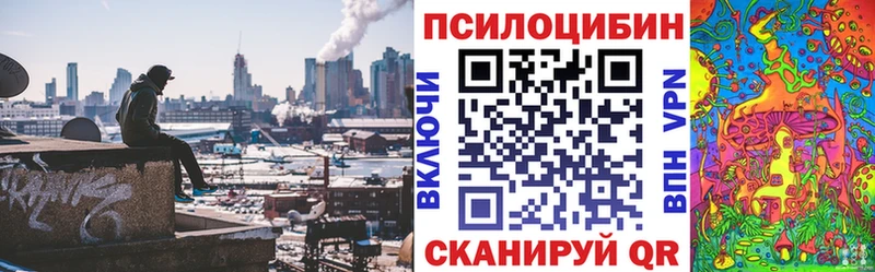 Псилоцибиновые грибы Psilocybe  Купить где  Ухта 